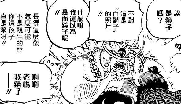 海贼王机械甲,海贼王里特殊的武器