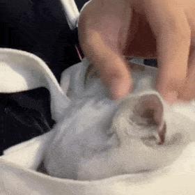 感动表情包图片大全微信,微信小脸谱表情包大全