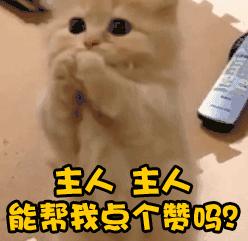 阿拉维斯vs皇马最新预测,阿拉维斯vs皇马为什么单关