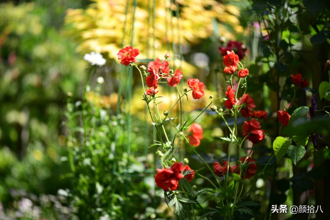 愿时光静止,愿时光静止在这一刻