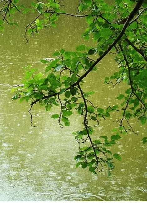 孙业广当代诗歌选