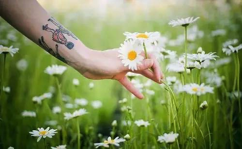 历经爱情才会真正强大的星座,揭秘注定不会被爱情辜负的星座