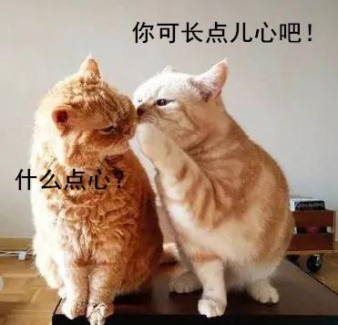 小孩子多大可以吃跟大人一样的油,吃哪种油是对大人小孩最好的