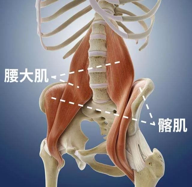 虐腹最有效的3个动作仰卧起坐,仰卧起坐是不是最好的练腹动作