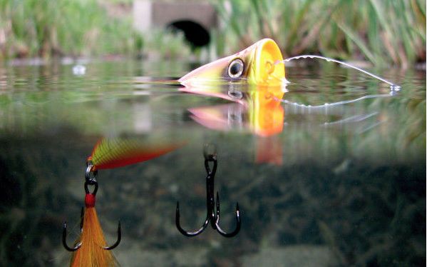 路亚钓的五种小技巧分析,钓翘嘴路亚假饵怎么选