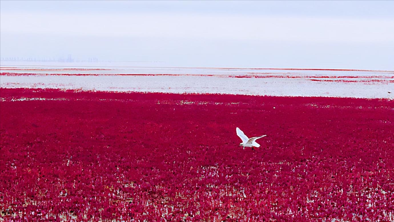 辽宁省盘锦市所辖区有哪些,辽宁省盘锦市有哪几个区