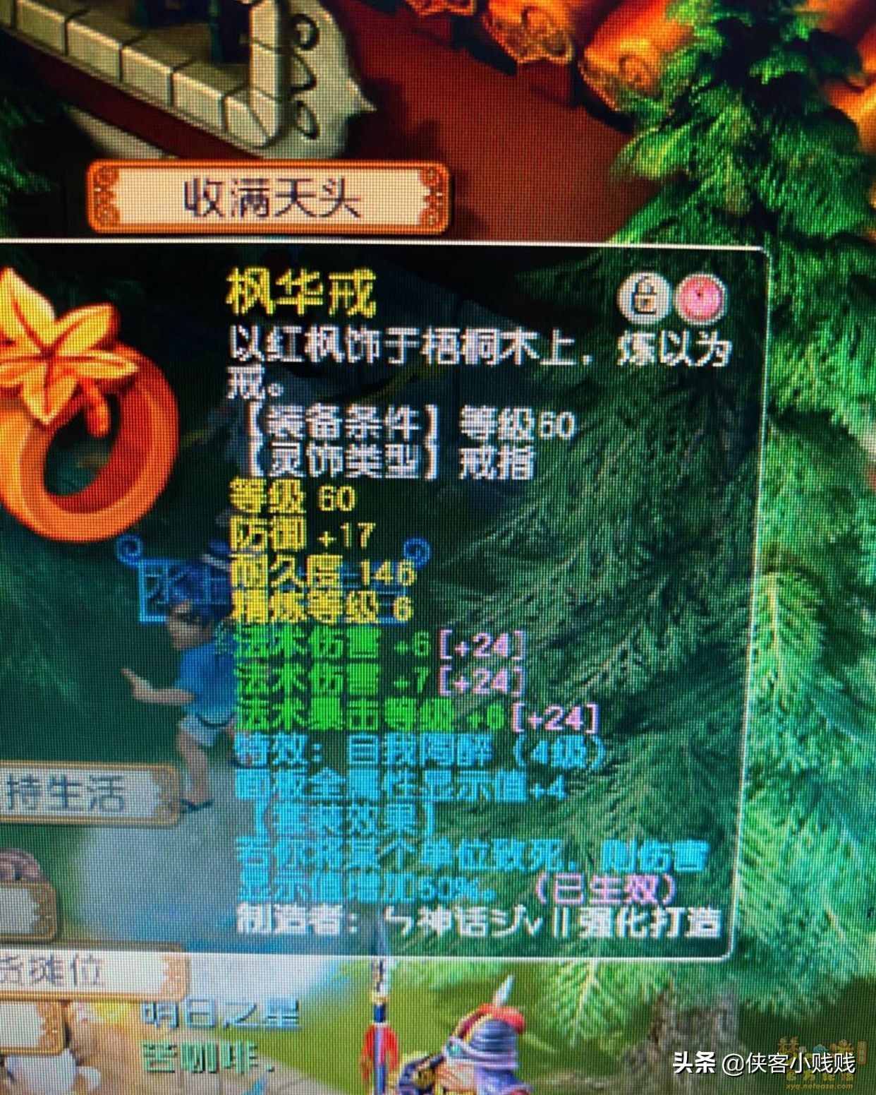 精锐组神木林展示,精锐神木林