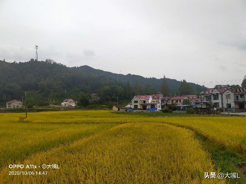 南京去徽州天路自驾游玩攻略,徽州自驾游路线攻略