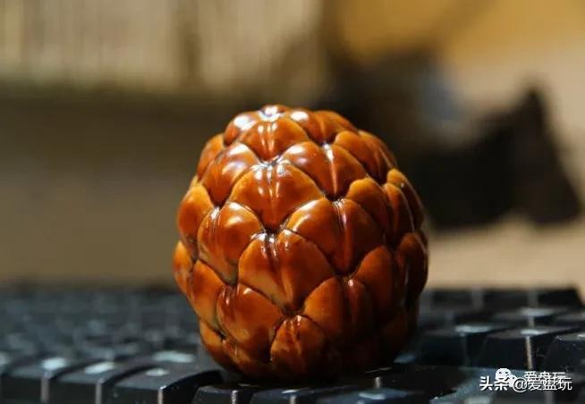 这张菩提子家谱，囊括30种，很少能有人认全