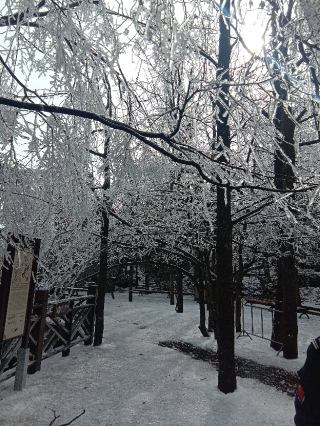 张家界天门山雪景,张家界天门山国家森林公园