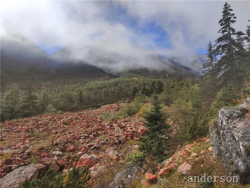 陪着贡嘎过仲秋，深夜听到女生的尖叫（上）