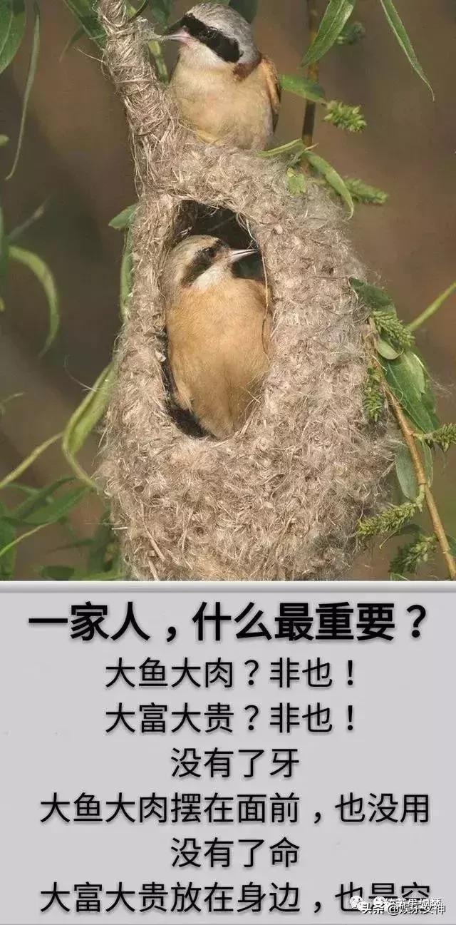 我的家庭相册文章,我的家庭相册细节