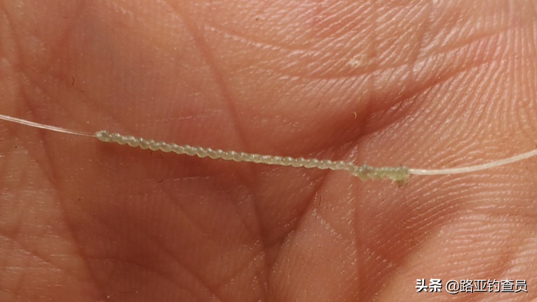 gt结与fg结的区别,GT结和FG结收尾