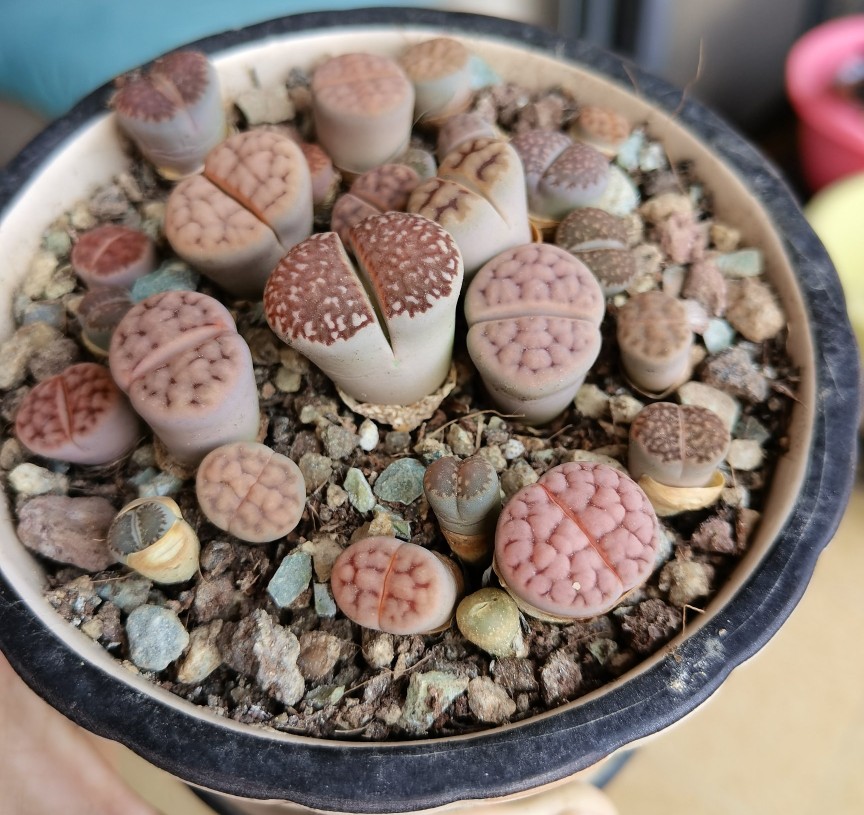 两个月过去了，十元以下的小东西都怎么样了？