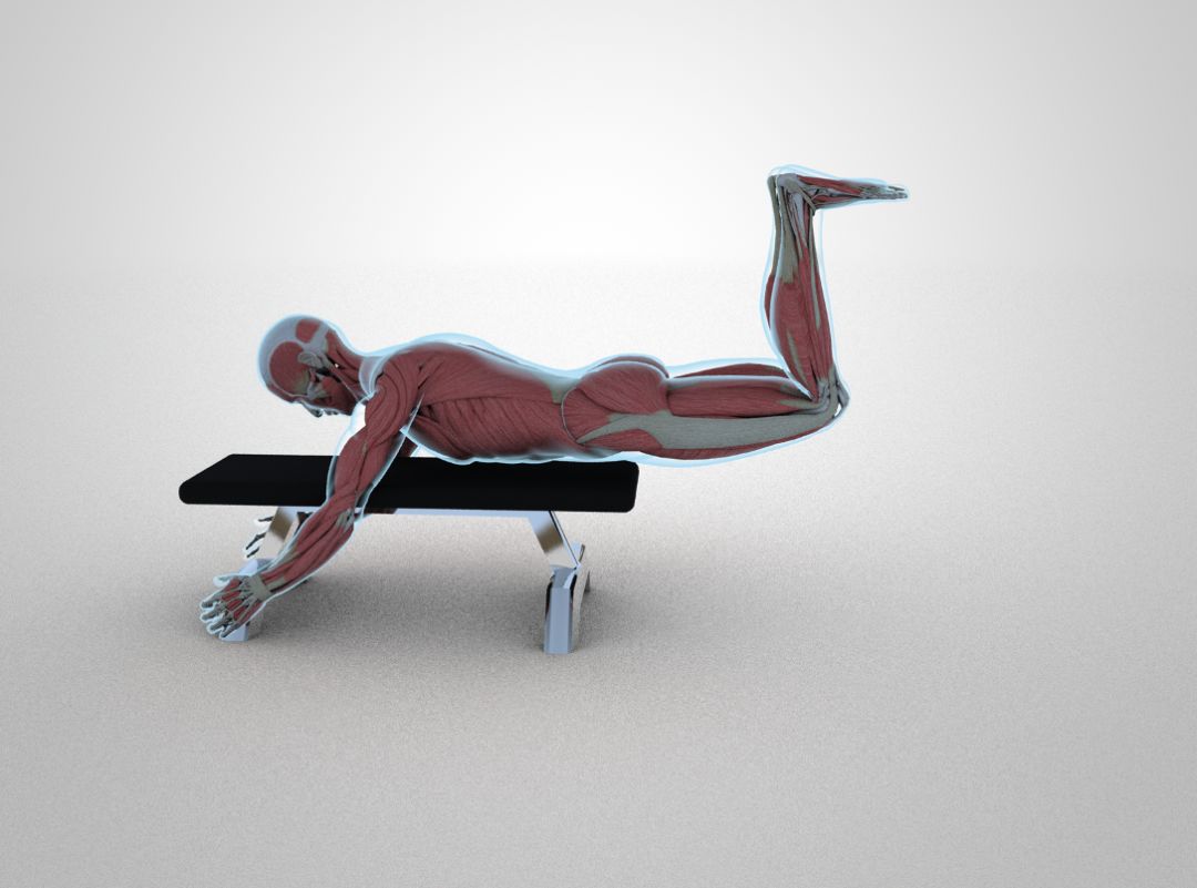 5个臀部动作练屁股,5个需要了解的臀部训练