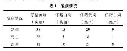大肠杆菌败血症首选什么药物,猪大肠杆菌病防治方法
