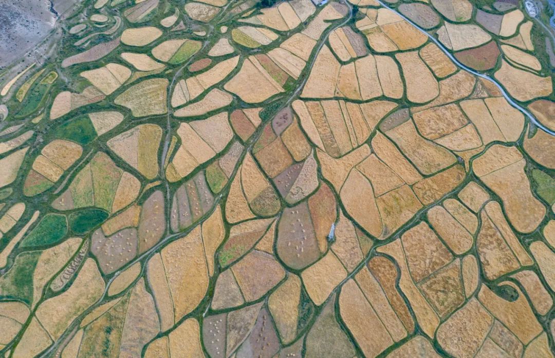 宣言中华民族,光荣属于英雄的中国人民