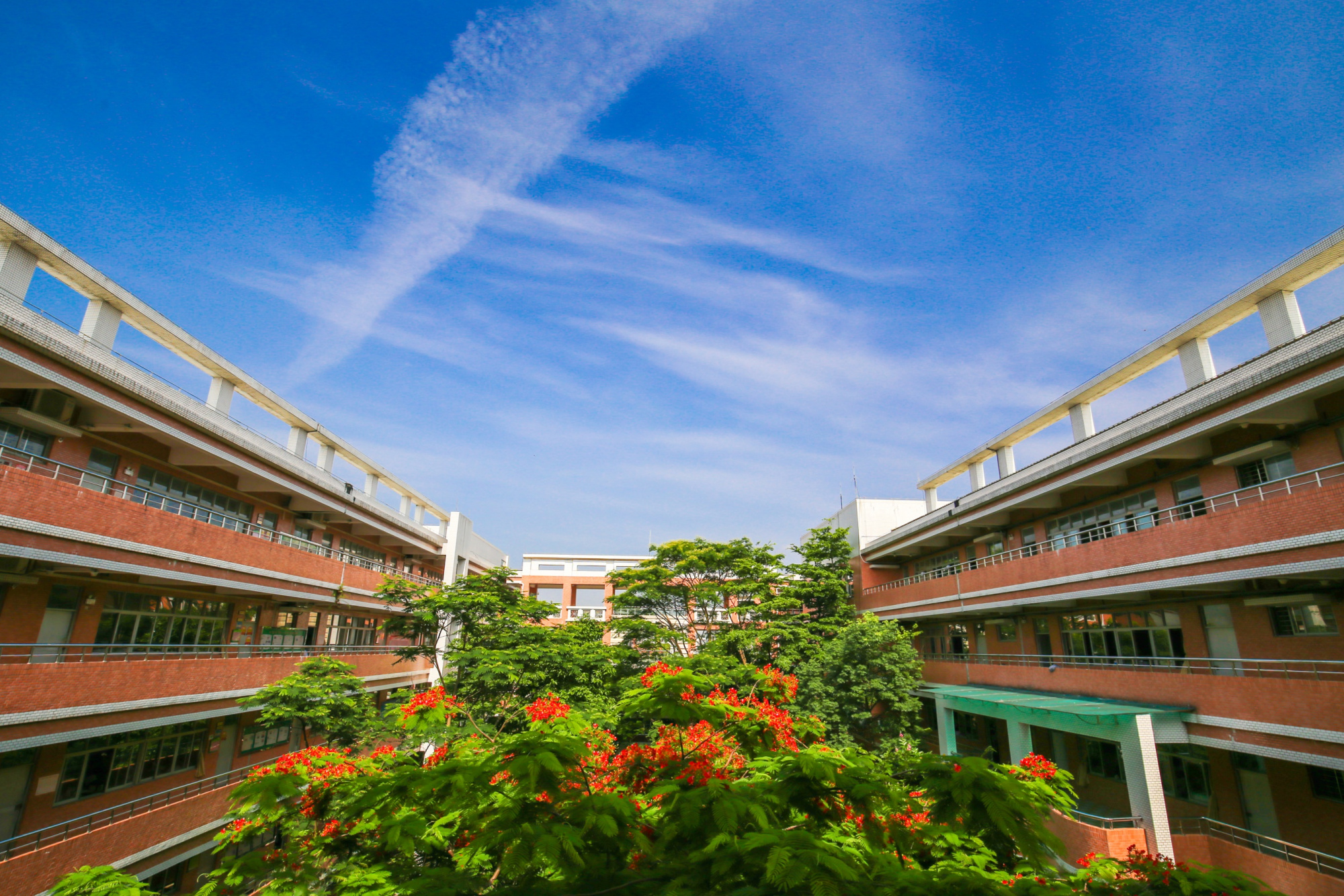 东莞十大好高中,东莞公办高中五大名校排名