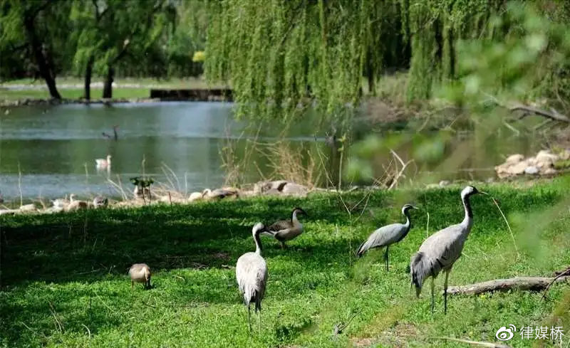 解读新发地疫情,新发地疫情什么时候开始的