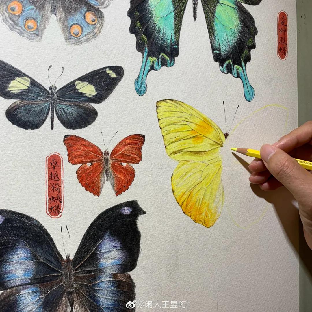 王昱珩上学经历,清华毕业的王昱珩