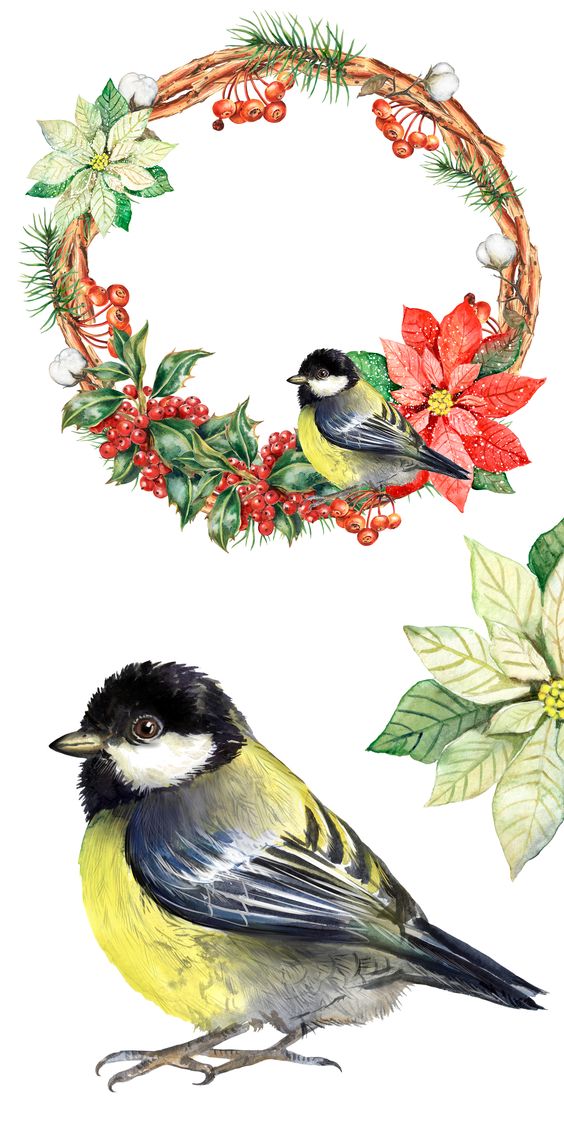 花花边框图片大全简单又漂亮,花花边框视频素材