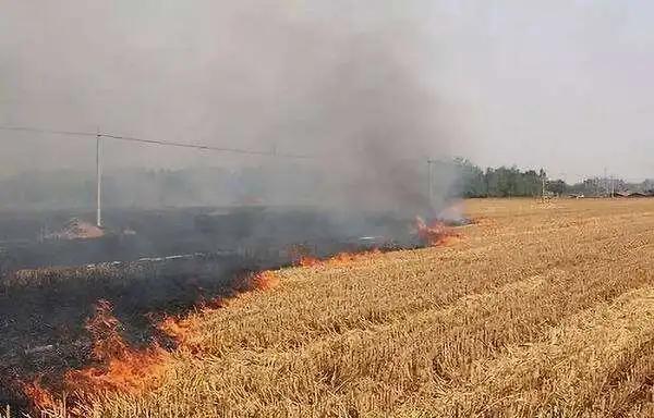 关于安全文明的快板,安全文明快板推荐