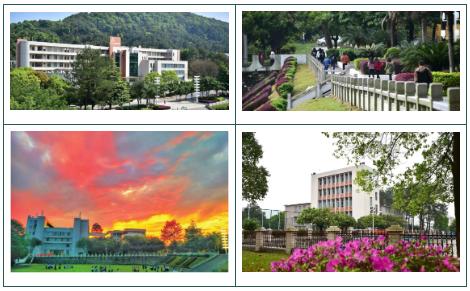 广东松山职业学院是大专还是本科,广东松山职业技术学院值得报吗