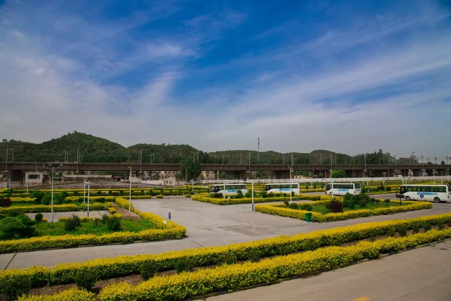 双11驾校怎么搞活动,驾校双11优惠活动策划