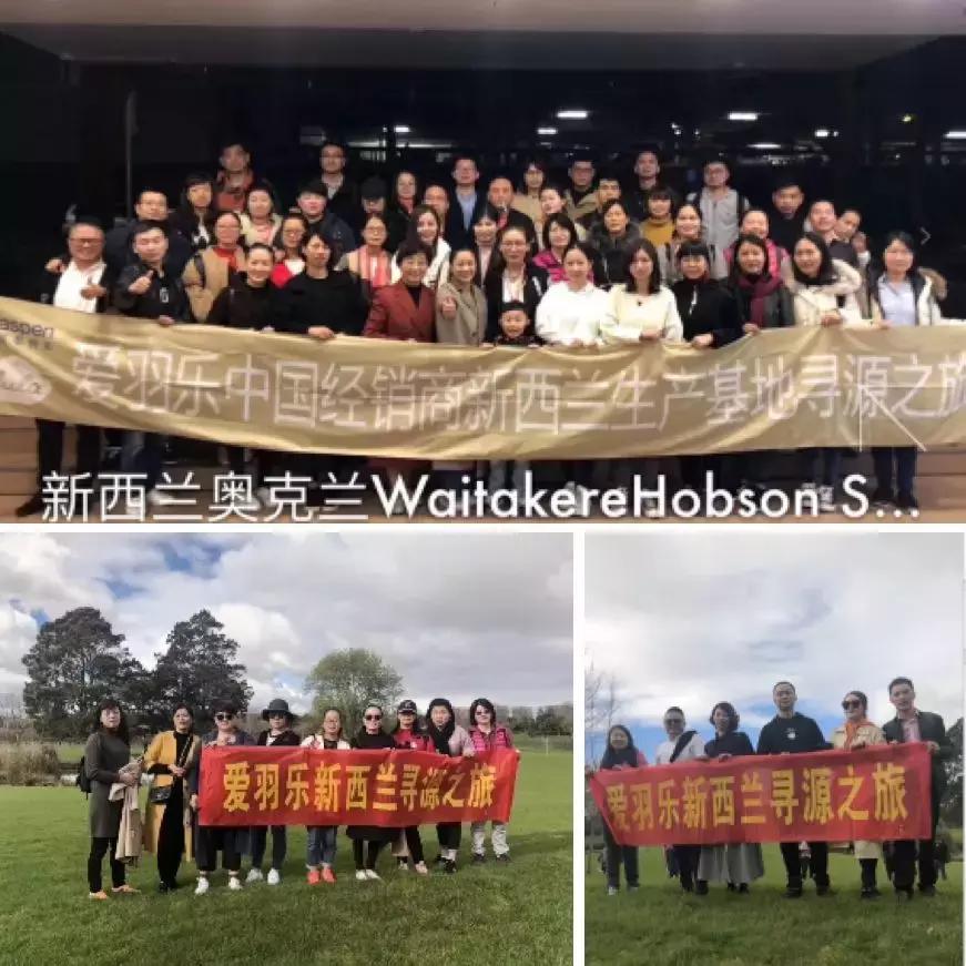 爱羽乐奶粉是什么品牌 (爱羽乐奶粉怎么样)