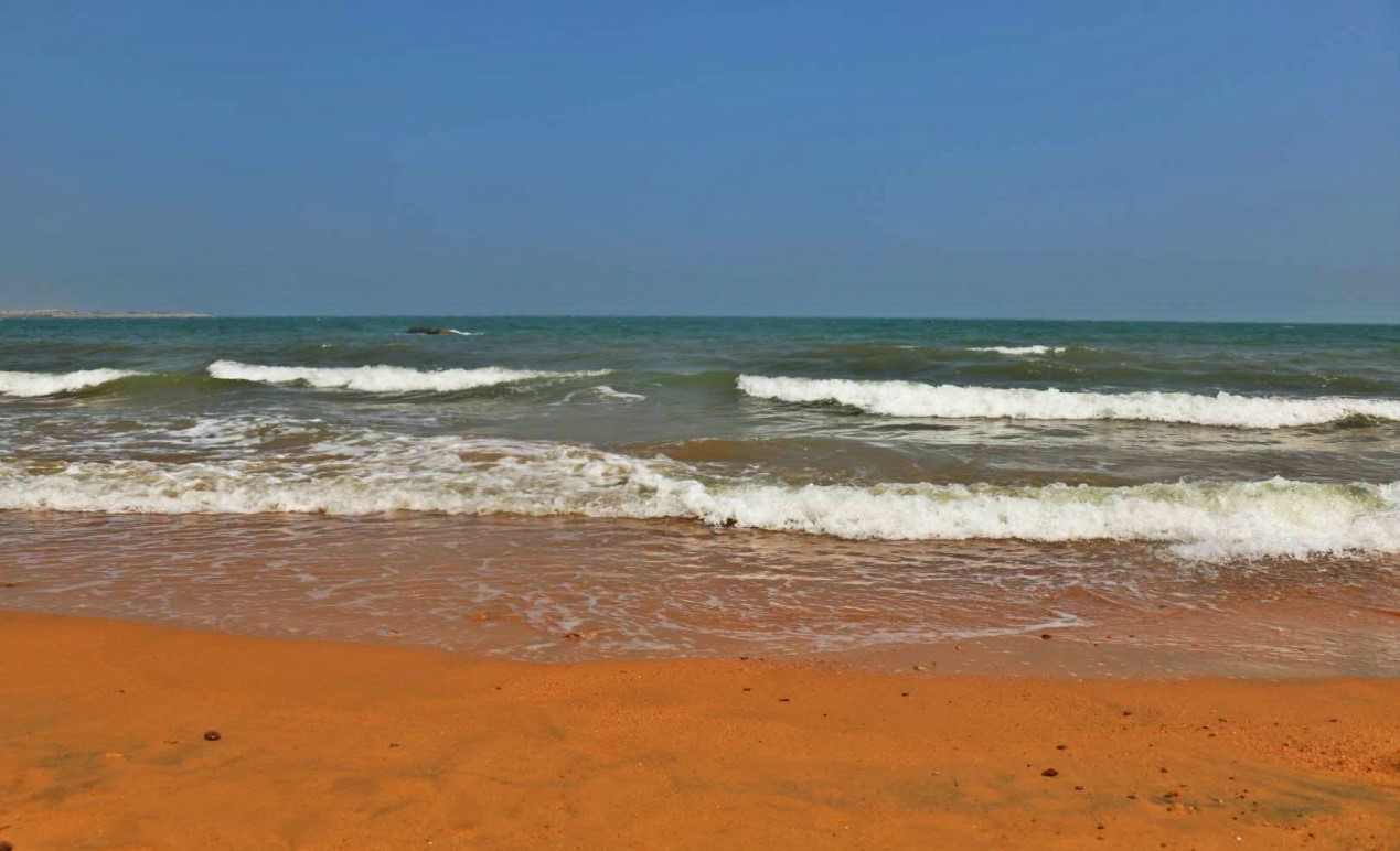 你问我要去向何方,我指着大海的方向--黄岛两日游记