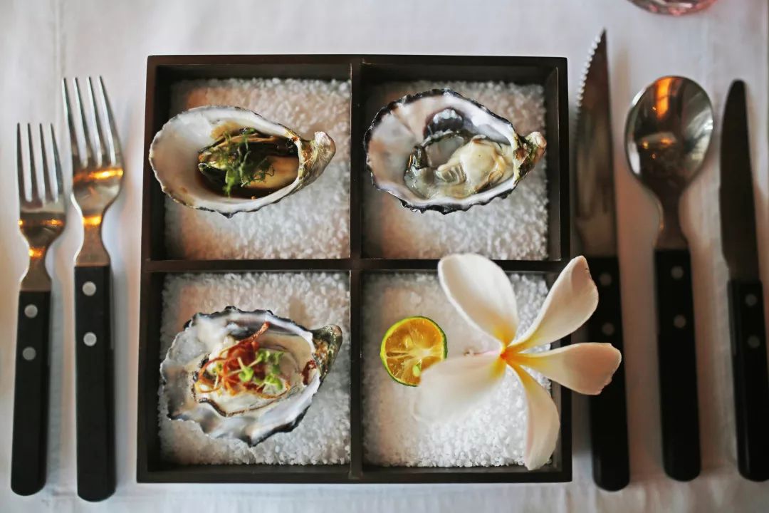 城市酒店好还是民宿好,度假酒店与城市酒店