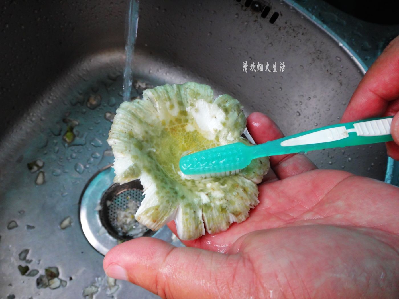 野生菌直接放水里清洗是错误的，教你两招，轻松吃干净美味的菌子