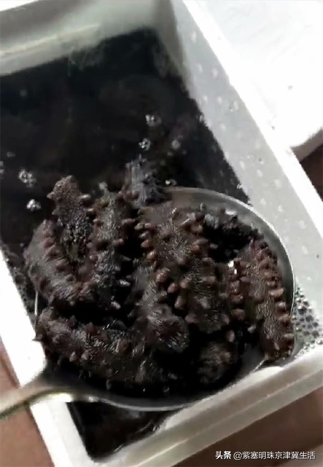 魂牵梦绕的绿色净土，真的美翻了，东戴河德福缘农家院