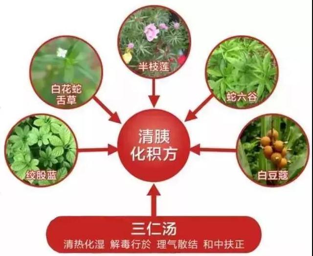 癌治愈后怎样调理体质,得癌多年用中药调理