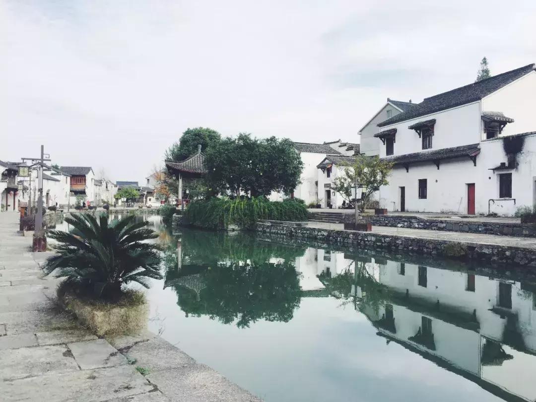 东梓关村改造规划,产业研究