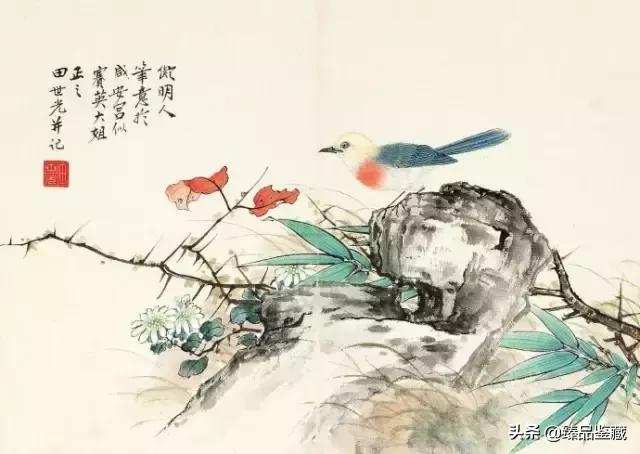 工笔大师田世光,工笔画大师田世光画孔雀好美