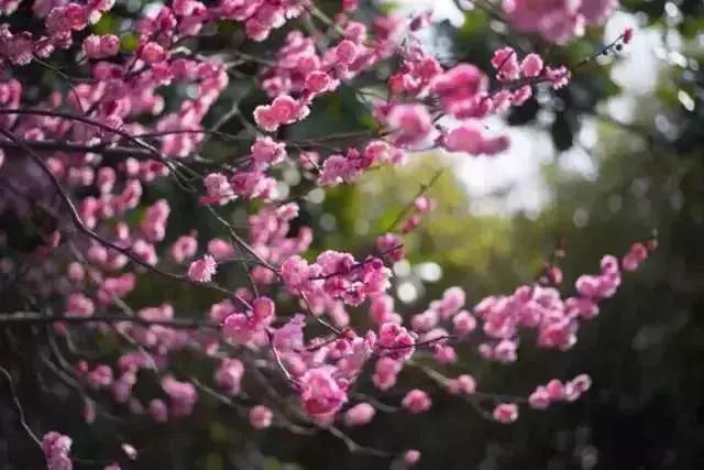 狂飙18级,狂飙18集公路飙车片段在哪