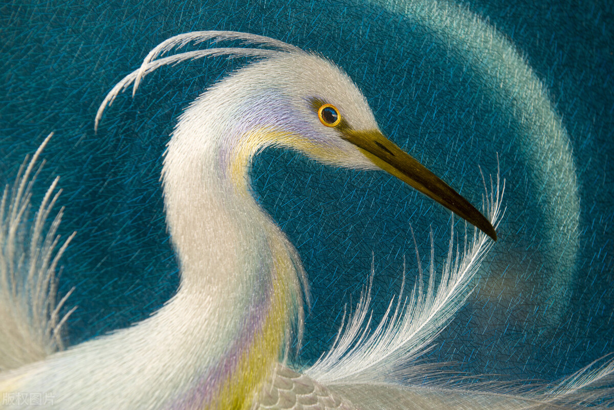 广东广州特产送礼必买清单,广州必带特产广东省最著名的特产