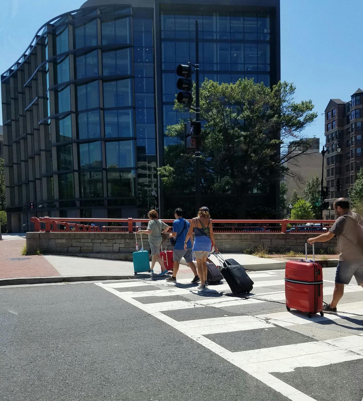 她为什么能凭自己的意愿到任何国际组织工作？