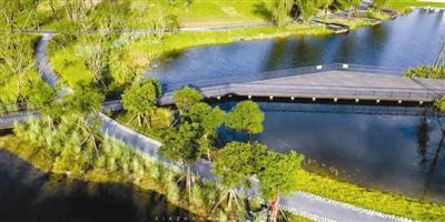 天府绿道近期景色,成都江滩公园绿道建设