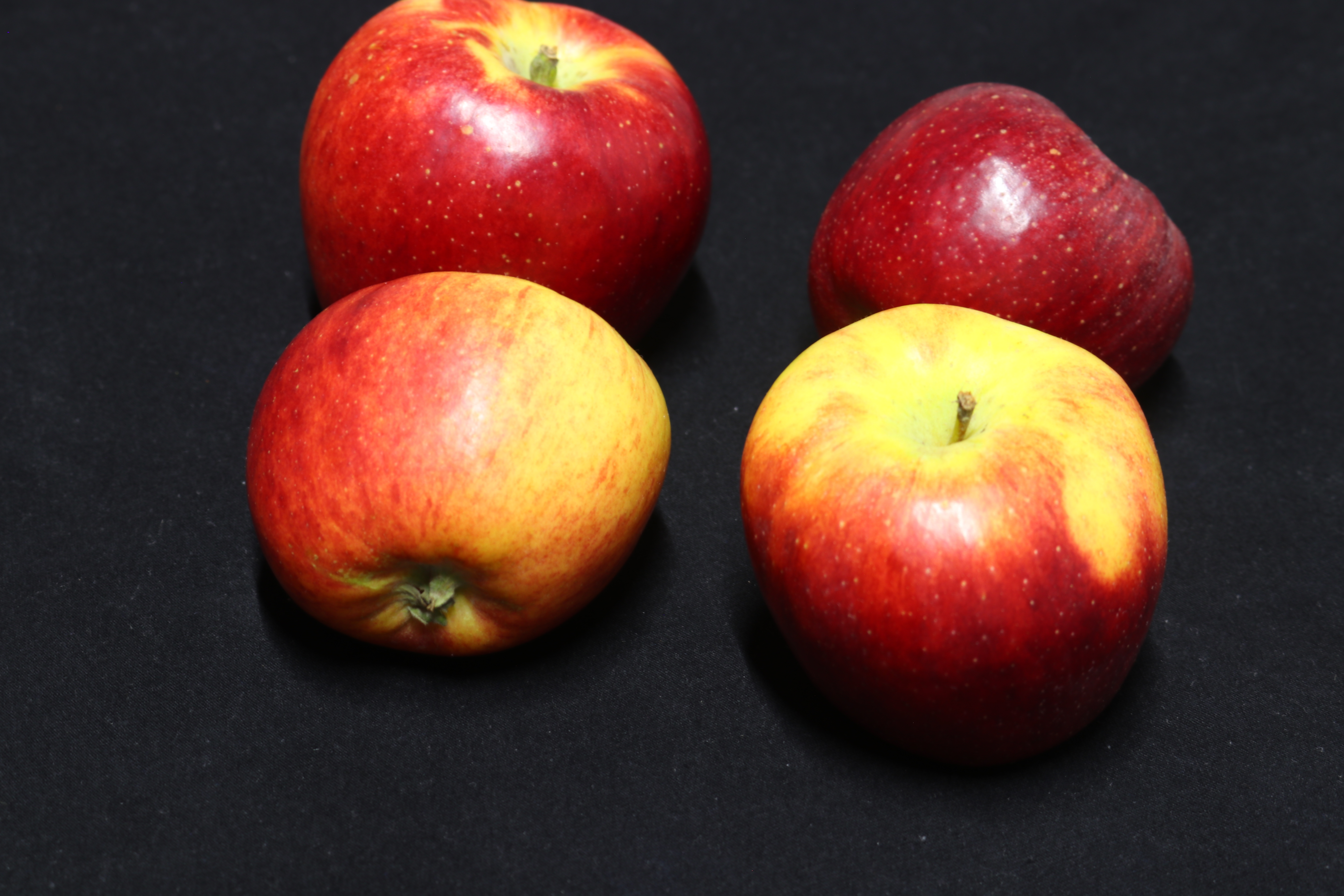 试吃“扬言淘汰嘎啦，且不用套袋”的鲁丽苹果，给大家一些建议