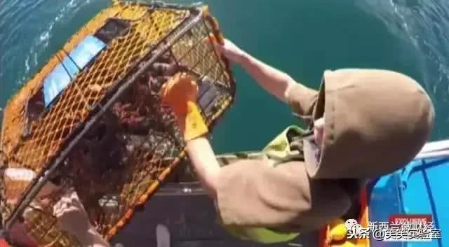 黑帮都用什么货币,黑帮的硬通货