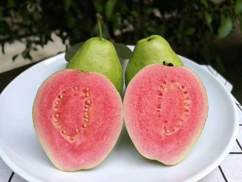 口感最甜的芭乐,什么颜色的芭乐好吃又甜