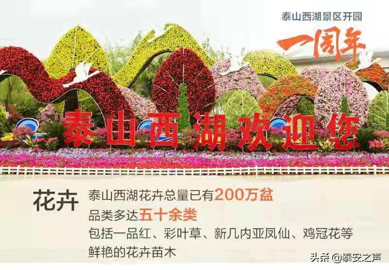 美丽的泰山西湖夜景,泰山西湖最美夕阳