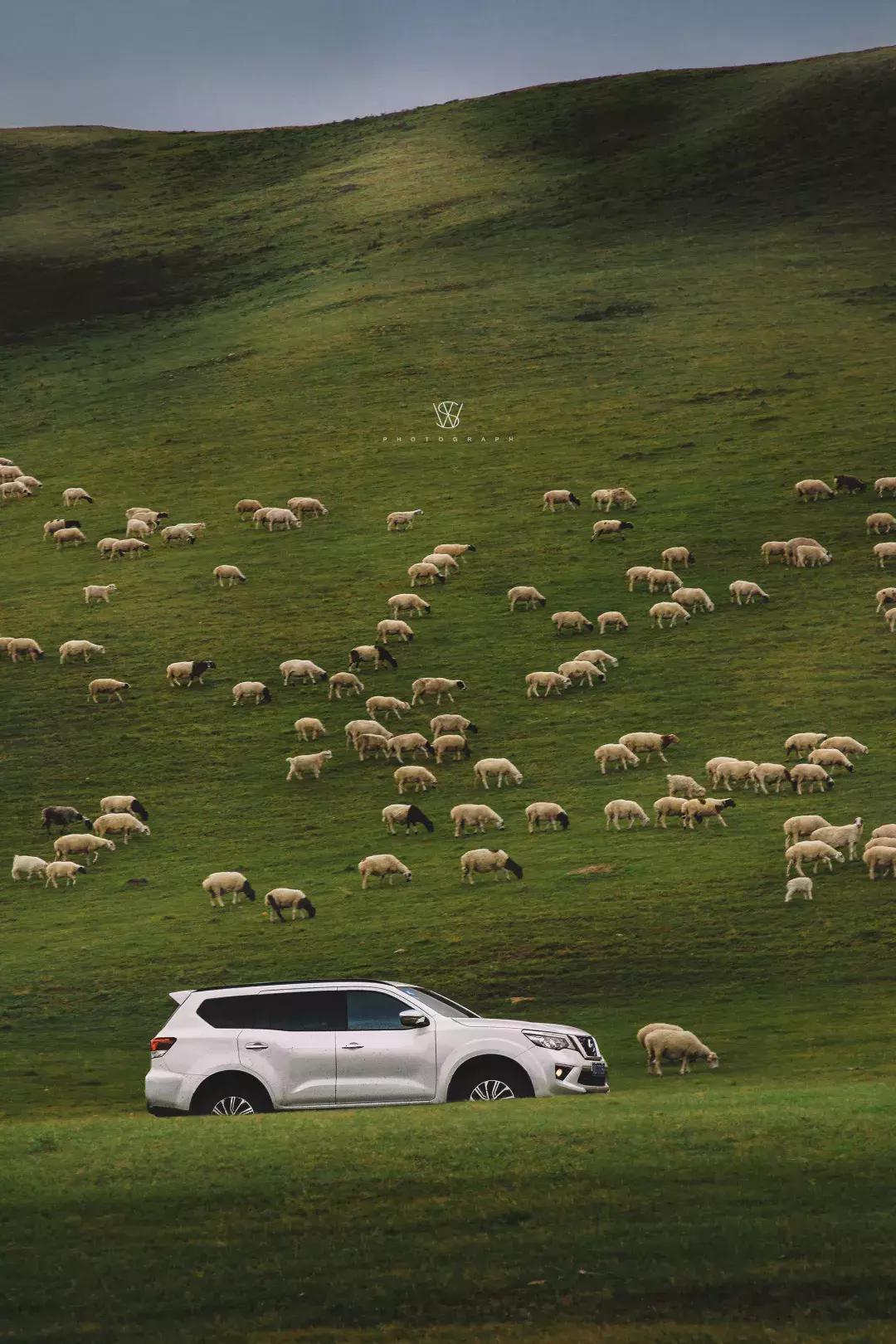途达探索之旅,途达探索之旅完整版