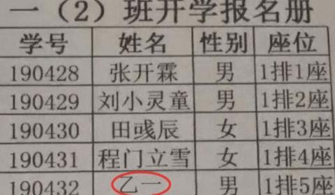 小学生给老师起名字火了,学生名字走红连名带姓只有两笔