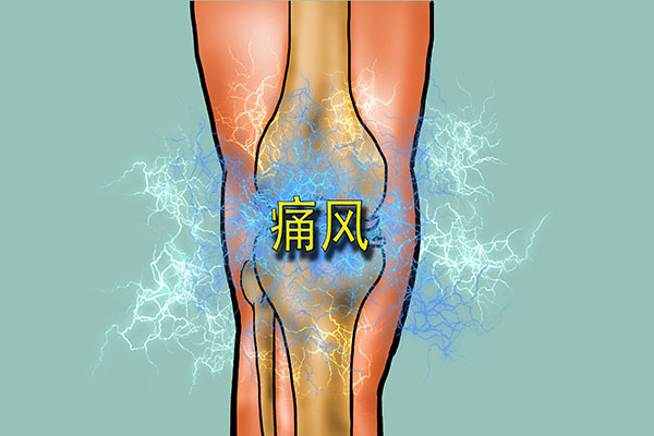 车前草泡水喝可治痛风尿酸偏高吗,车前草和土茯苓治痛风降尿酸吗