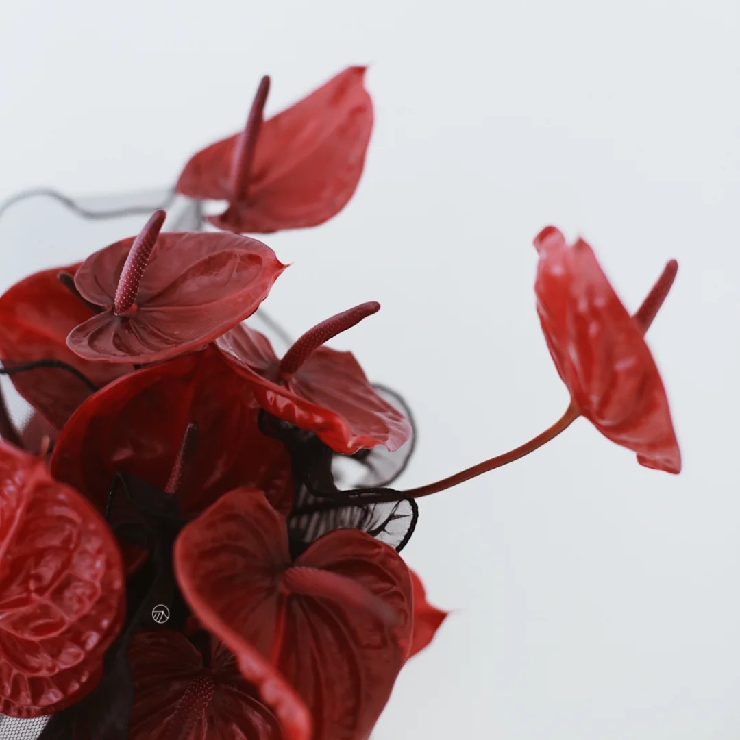 野冬青花材,畅销花卉绿植排行榜前十名