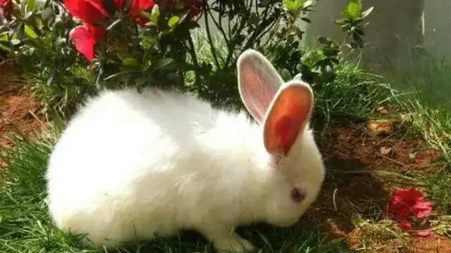 农村的俗语大家听过多少,农村老一辈留下来二十四句老俗语