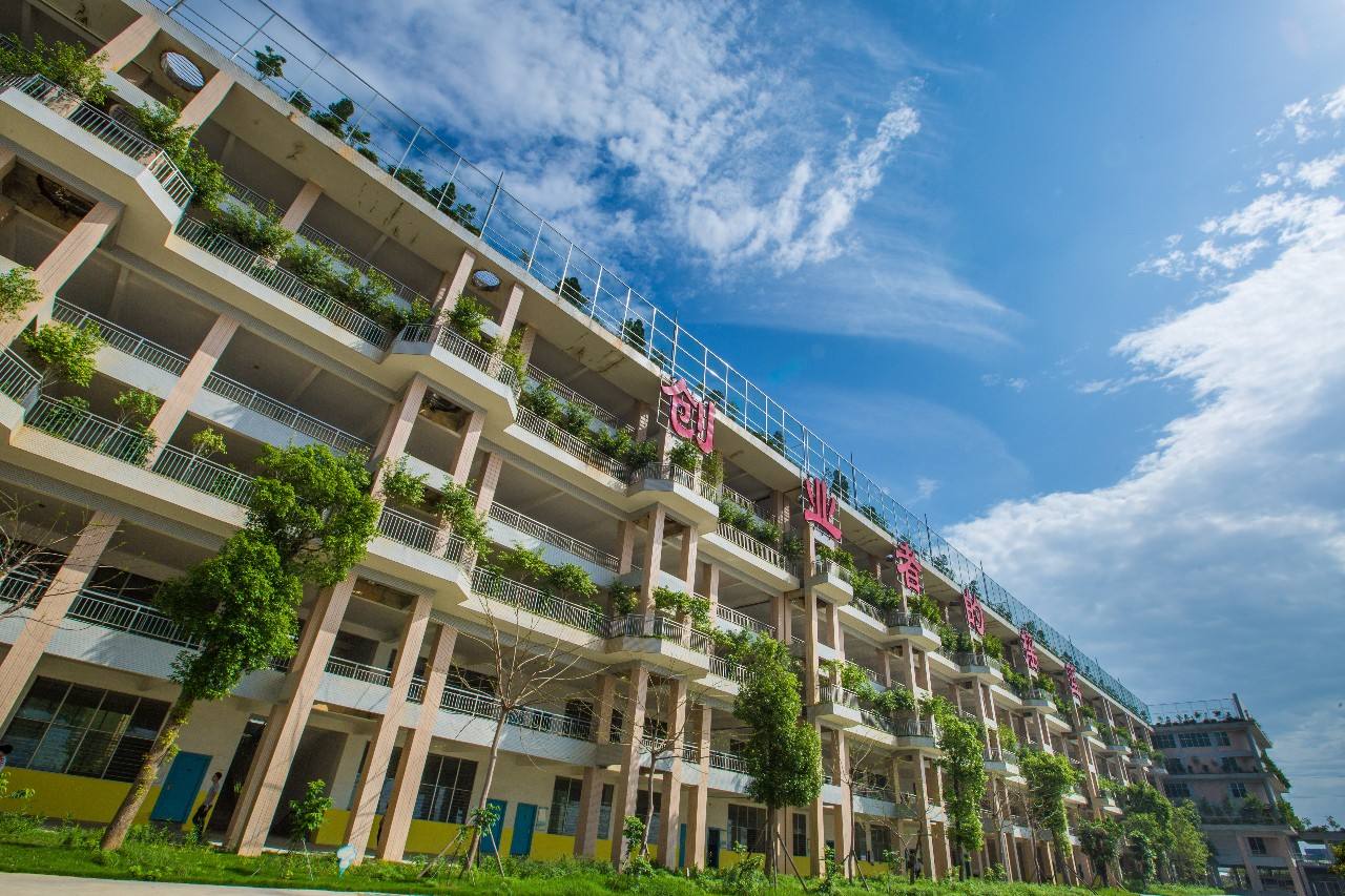 没达到本科线该怎么办,没有达到本科线是不是不能填报